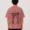 Timeless Architecture in Rose — back-alt view
